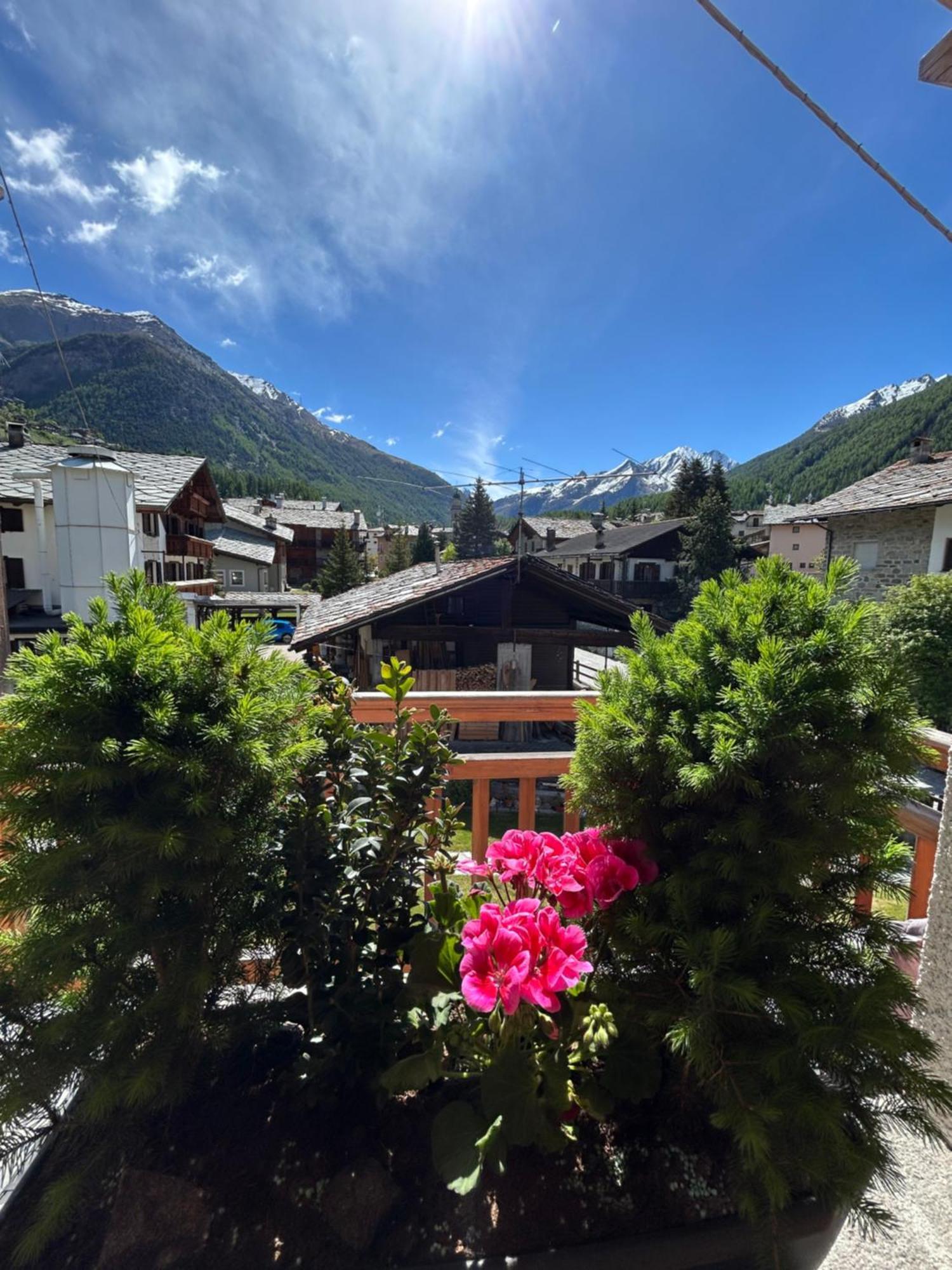 Hibou Chambres - Cogne Exterior foto